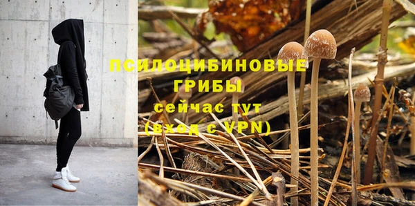 ГАЛЛЮЦИНОГЕННЫЕ ГРИБЫ Абинск