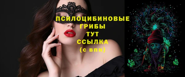 дмт Абаза