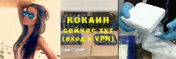 дмт Абаза