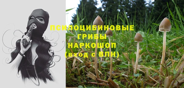 ГАЛЛЮЦИНОГЕННЫЕ ГРИБЫ Абинск