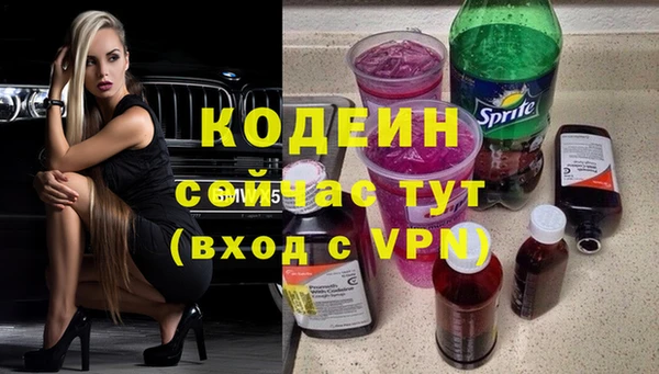 прущие грибы Рославль