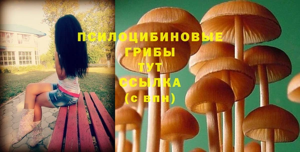 ГАЛЛЮЦИНОГЕННЫЕ ГРИБЫ Абинск