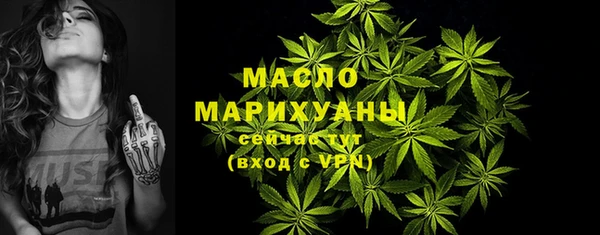 дмт Абаза