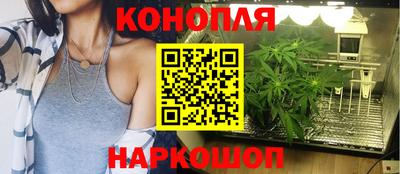 прущие крисы Свободный