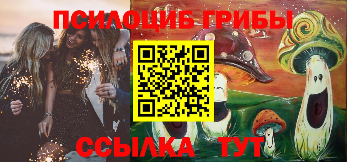 Советск  Галлюциногенные грибы Psilocybine cubensis  Вход с VPN 