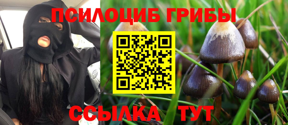 Галлюциногенные грибы Psilocybine cubensis Советск