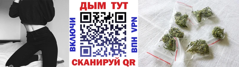 Конопля THC 21% Советск